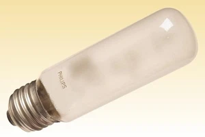 LAMPADINA PHILIPS HALOGEN 100 WATT E27 LAMPADA ALOGENA 13648 LUCE SMERIGLIATA - Imagen 1 de 1
