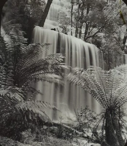 Magic Lantern Slide Photo Australia Russell Falls JW Beattie Hobart Tasmania - Picture 1 of 3