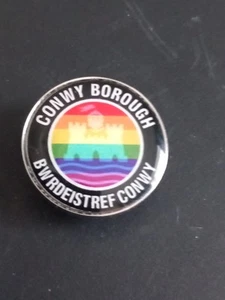 Conwy Borough Pin Badge - Picture 1 of 2