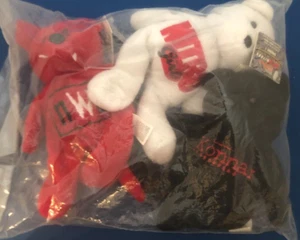 1999 WCW NWO Racing Champions Nitro Girls Beanie Baby Bear WWF Series 1 3 Set - Picture 1 of 5