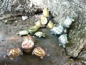 Tortuga Metal Hilandero de Mano Inquieto Adultos Juguetes Niños Pargo Tortuga Slowpoke 🤏 - Imagen 1 de 36