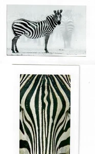Gloria A. Loftin Photography "IRELAND COLLECTION" Photo Greeting Cards - Picture 1 of 4