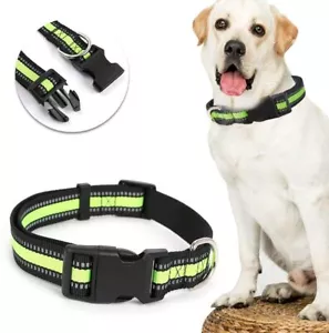 Collare Gog Nylon con Fibbia in Metallo Acciaio Inox Anello a D Pet Training Collana - Foto 1 di 7
