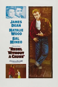 NEW James Dean Rebel without a Cause 50s Movie Poster Print Canvas FREE SHIPPING - Picture 1 of 3
