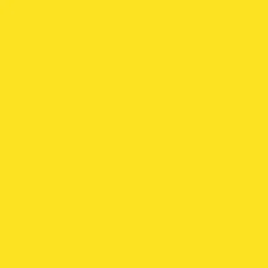 Northcott Colorworks NEW 9000 539 Rubber Ducky BTY Cotton Fabric - Picture 1 of 1