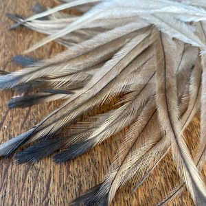 Natural Emu Feathers x 200pcs Jewellery Supplies Findings Craft DIY Fly Fishing - Picture 1 of 10