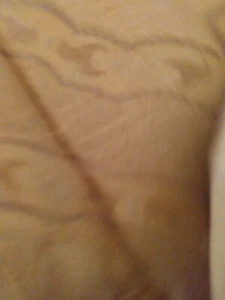 41" x 48" BEIGE ACETATE MOIRE FABRIC 44 INCHES WIDE - Picture 1 of 5