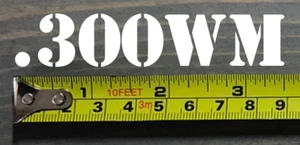 .300 300 WM Aufkleber Sticker 3,5" Munitionsdose Box 300WM Label Munitionskiste GESTANZT - Bild 1 von 1