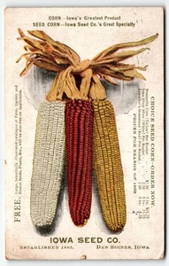 Postal Iowa Seed Company Advertisement Des Moines Iowa IA Ears of Corn PM 1909 - Imagen 1 de 2