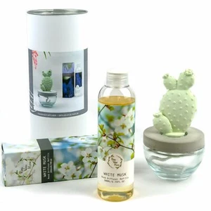 Pretty Valley Home Bunny Ear Cactus Ceramic Diffuser Combo White Musk 200ml - Picture 1 of 3