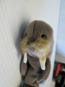TY BEANIE BABY "JOLLY THE WALRUS" 12-2-96 ERRORES  - Imagen 1 de 11