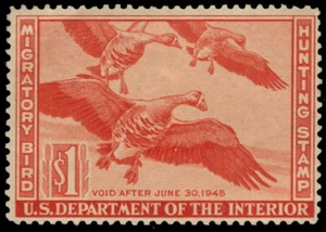 UNITED STATES RW11 - Jagdgenehmigung "Weißfrontengänse" (pa60746) NH 130 $ - Bild 1 von 1