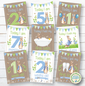 Peter Rabbit Baby Milestone Cards • Baby Shower Gift • New Baby Gift • Keepsakes