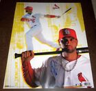 Albert Pujols Auto Signed 16X20 Costacos Poster Photo W Proof St Louis Cardinals