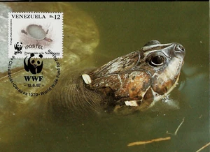 Turtles Arrau River Turtle Swimmin Venezuela Maximum Card WWF Panda Logo Issue - Picture 1 of 2
