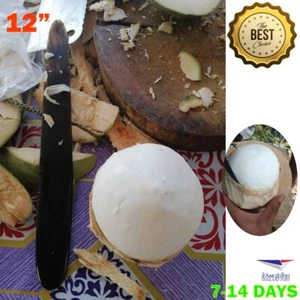 12" Knife Open Coconut Tool Opener for Fresh Green Young Coconut Water Works Wit - Picture 1 of 7