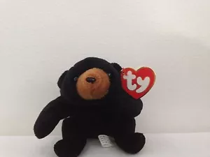 TY Beanie Babies - Blackie The Bear **Mega Rare** 3rd Gen Swing-1st Gen Tush - Picture 1 of 9