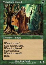 4x Woodland Druid MTG Odyssey NM Magic Regular