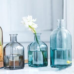Zwei Sets farbige Glasvase transparente kreative hydroponische Glasflasche