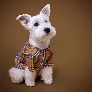 Furberry Plaid Pride Dog Shirt | 15-20lbs Dog - Picture 1 of 5
