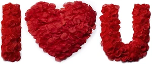 Premium Silk Rose Petals - Wedding Flower Decorations, Parties, 1200 Pcs, Red - Picture 1 of 7