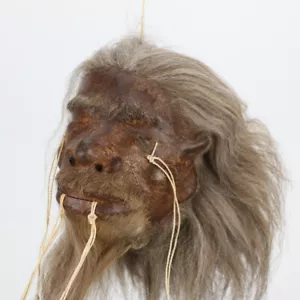 ¡Réplica! Colgante de espejo cabeza retráctil Shrunken Head Tsantsa Ecuador Jivaro decoración - Imagen 1 de 2