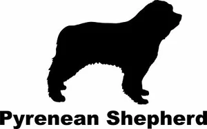 Pyrenean Mountain Dog - Picture 1 of 1