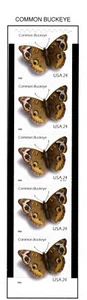 US 2006 Common Buckeye Coil P# Strip of 5 (4002) . Mint Never Hinged - Picture 1 of 1