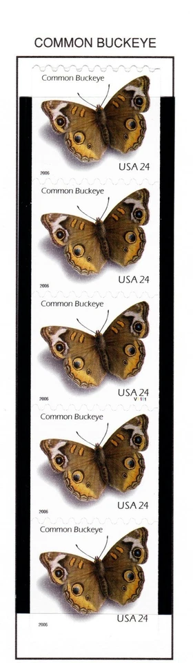 US 2006 Common Buckeye Coil P# Strip of 5 (4002) . Mint Never Hinged - Image 1 of 1