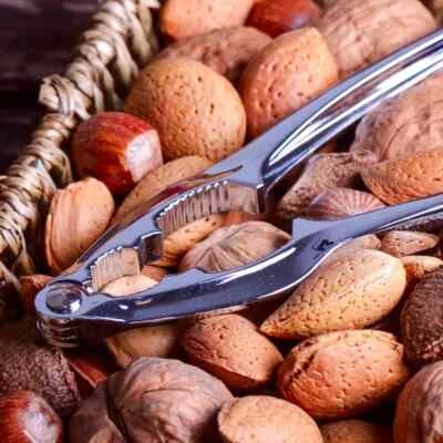 Nut Cracker Tool Walnut Plier Seafood Shell Cracker Pecan, Hazelnut, Brazil Nuts