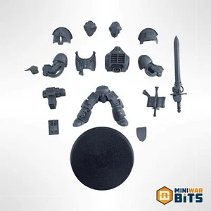 Grey Knight Terminators / Paladin Single Figure - Warhammer 40k - Picture 1 of 1