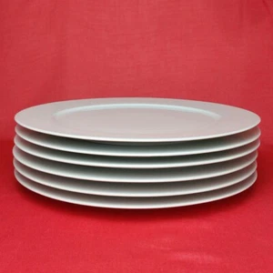 6x Hutschenreuther Lara Weiss Speiseteller Platzteller Teller 33 cm Porzellan - Bild 1 von 3