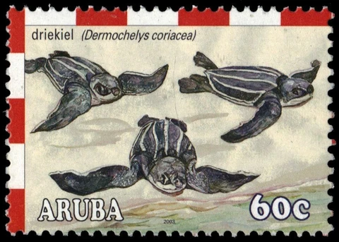 ARUBA 238 - Leatherback Turtle "Dermochelys coriacea" (pb18958) Cover