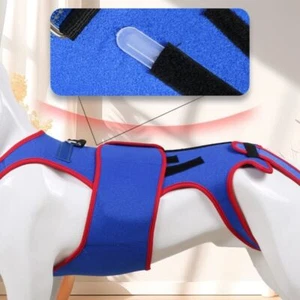 Dog Back Brace For Dogs With Ivdd- Pet Back Bracer Arthritis- Recovery - Picture 1 of 12