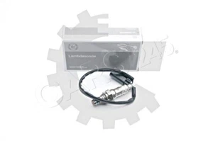 Sonda lambda para FORD MAZDA Escort ''91 Express ''95 V Cabriolet Tournier 1013764 - Imagen 1 de 4