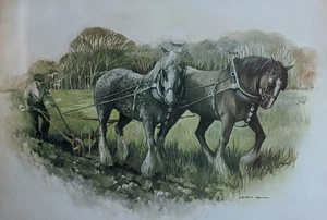 Vintage Signed British Equine Working Shire Horses Field By Leon Olin uk - Picture 1 of 7