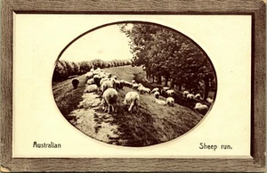 Postal Australian Sheep Run Series 8006 Alemania principios de 1900 - Imagen 1 de 2