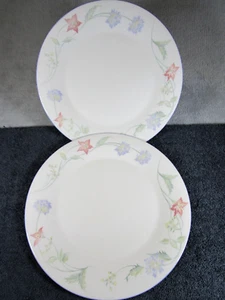 2 Lovely Vintage Expressions Summer Carnival Floral Design Dinner Plates 27cm - Picture 1 of 7
