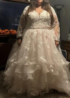 Blush Pink, Plus Size Bridal Ballgown - Image 1 of 3