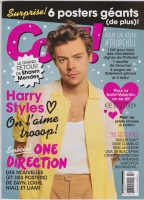 HARRY STYLES One Direction Cool Magazine DIXIE D'AMELIO Shawn Mende TAYLOR SWIFT - Image 1 of 3