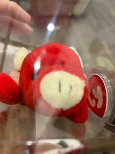 Ty Beanie Baby Tabasco 3. Gen./2. Gen. Authentifiziert MWNMT & Etikett geschützt! - Bild 1 von 12