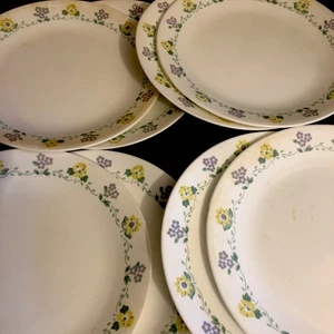 CORELLE Forget Me Not Dinner Plates 10.25" Set Of 8 Discontinued Vintage Pattern - Picture 1 of 8