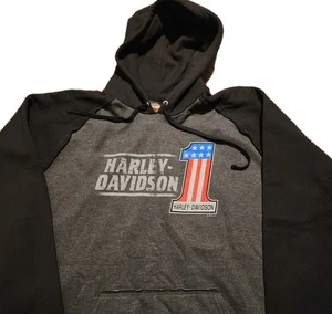Sudadera con Capucha Harley Davidson Para Hombre 3XL Negra Gris Sudadera con Capucha Gráfico Motociclista  - Imagen 1 de 7