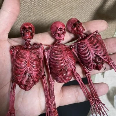 Modelo de esqueleto humano esqueleto de sangre de carne de medio cuerpo 1/12 para figura de acción de 6" Foto 1 de 4