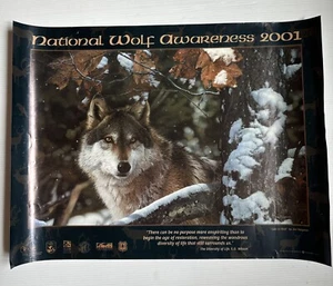 2001 National Wolf Awareness Poster "Lyin' in Wait" by Jim Turgeon - Two Sided - Picture 1 of 9