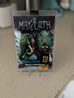 Mamut prehistórico Bryce Underwood 2024 2/2 Foto 1 de 4