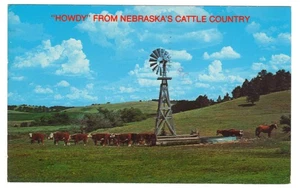 Nebraska Cattle Country Windmill with Hereford Angus Cattle Postcard - Picture 1 of 2