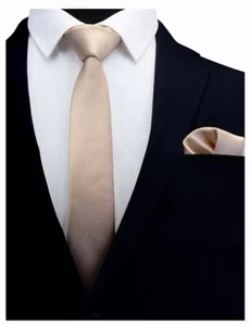 Juego de corbata de seda champán y pañuelo cuadrado de bolsillo corbata pañuelo - Imagen 1 de 1