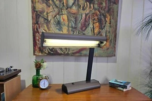 RAAK 60cm Oversize Desk Lamp Fluro Light MCM 80's Lighting -GOSFORD - Picture 1 of 13