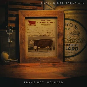 Vintage Hereford Cow Cattle Rancher Art Print 8X10 Farmer Kitchen Wall Decor - Picture 1 of 8